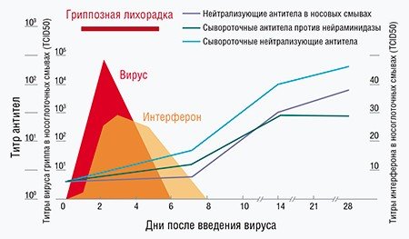Динамика развития симптомов и концентрации маркеров вируса гриппа у шести добровольцев, инфицированных вирусом дикого типа, подобного A/Hong Kong/68. (по: Jennings, Read 2006)