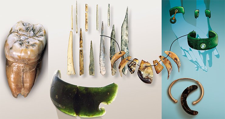 Left: a most rare find of Denisova Cave – a tooth of one of the first Asian Homo sapiens. On right: These unique artifacts of the Upper Paleolithic culture (a necklace, needles and a bracelet) testify that in Altai the Upper Paleolithic began earlier than in Europe Left: a most rare find of Denisova Cave – a tooth of one of the first Asian Homo sapiens. On right: These unique artifacts of the Upper Paleolithic culture (a necklace, needles and a bracelet) testify that in Altai the Upper Paleolithic began earlier than in Europe