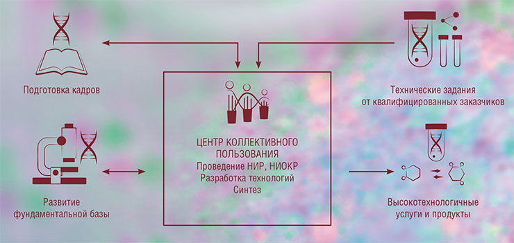 Переходу к персонализированной медицине и высокотехнологичному здравоохранению способствуют центры коллективного пользования и сотрудничество с бизнесом. Центр развития биомедицинских технологий с использованием аптамеров, который планируется открыть на базе ФИЦ КНЦ СО РАН, сможет предоставлять такие услуги, как селекция аптамеров и разработка продуктов на их основе, синтез и модификация олигонуклеотидов, суперкомпьютерное моделирование и др. Сейчас подобные услуги оказывает ООО «АПТАМЕРЛАБ», созданное сотрудниками лаборатории Переходу к персонализированной медицине и высокотехнологичному здравоохранению способствуют центры коллективного пользования и сотрудничество с бизнесом. Центр развития биомедицинских технологий с использованием аптамеров, который планируется открыть на базе ФИЦ КНЦ СО РАН, сможет предоставлять такие услуги, как селекция аптамеров и разработка продуктов на их основе, синтез и модификация олигонуклеотидов, суперкомпьютерное моделирование и др. Сейчас подобные услуги оказывает ООО «АПТАМЕРЛАБ», созданное сотрудниками лаборатории