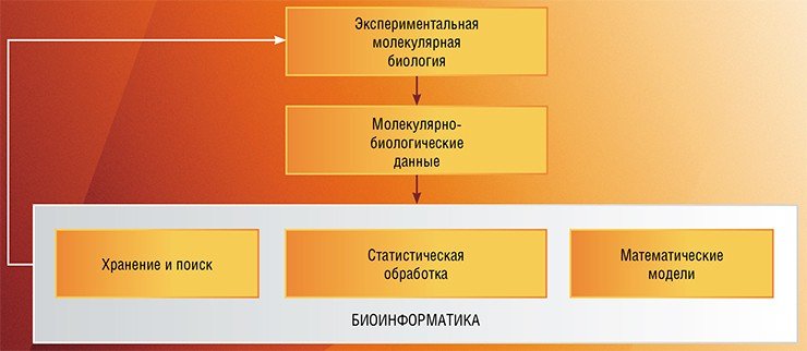 В наши дни биоинформатика является самостоятельной научной дисциплиной, развитие которой – залог дальнейшего прогресса в молекулярной биологии 