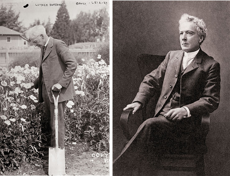Селекционер и садовод, американский «Мичурин» Лютер Бербанк. Из кн. O. Binnera Luther Burbank's bounties from nature to man (1911). Public Domain. Слева – Бербанк в своем питомнике. 1900 г. Library of Congress, Prints & Photographs Division
