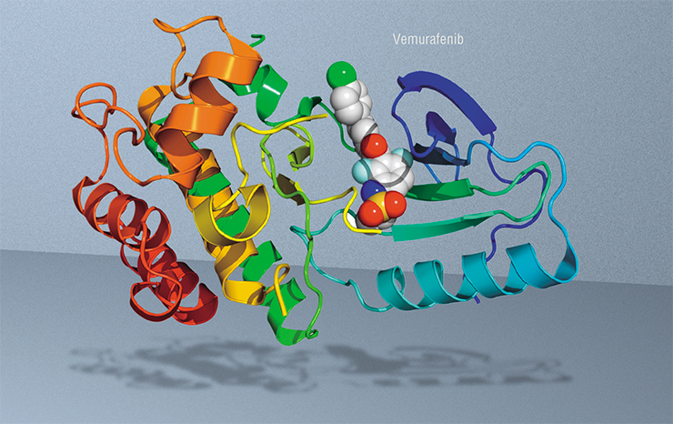 Intracellular targets can be efficiently inhibited by small, easy-to-synthesize molecules. Vemurafenib, used for targeted therapy of melanoma with the BRAF V600E mutation, is a good example. Melanoma is among the most treacherous tumors; in over one half of all cases, it is caused by BRAF mutations.Image: Creative Commons