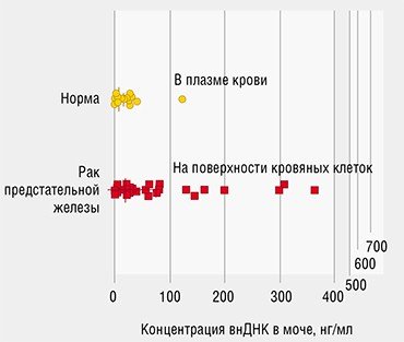 Распределение в моче циркулирующей внеклеточной ДНК у здоровых мужчин и у мужчин с опухолями предстательной железы значительно отличается. При патологии увеличивается концентрация внеклеточной ДНК в моче