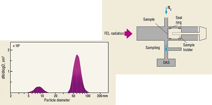 The first biological object of our research was phage DNA . A sample was placed on a porous substrate made of silicon oxide; then it was dried and exposed to laser irradiation. The result of sublimation was 70-nanometer (nm) particles.In the next experiment, plasmid DNA, whose mass is an order of magnitude smaller than that of the DNA phage, was added to the mixture. In this case, the diffusion aerosol spectrometer (DAS) developed at ICKC recorded two particle fractions, 7 nm and 70 nm in size. The absence of particles of different sizes indicated that the radiation did not destroy the original biological macromolecules The first biological object of our research was phage DNA . A sample was placed on a porous substrate made of silicon oxide; then it was dried and exposed to laser irradiation. The result of sublimation was 70-nanometer (nm) particles.In the next experiment, plasmid DNA, whose mass is an order of magnitude smaller than that of the DNA phage, was added to the mixture. In this case, the diffusion aerosol spectrometer (DAS) developed at ICKC recorded two particle fractions, 7 nm and 70 nm in size. The absence of particles of different sizes indicated that the radiation did not destroy the original biological macromolecules