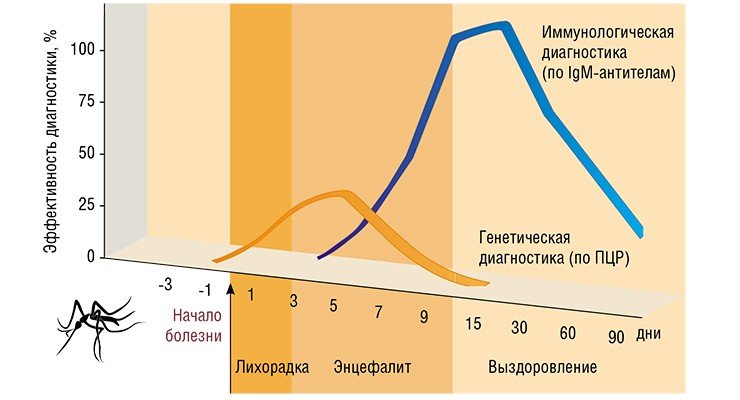 Диагностика лихорадки Западного Нила строится на иммунологической и генетической детекции маркеров этой вирусной инфекции. Наибольшей эффективностью обладает тест на специфические защитные антитела (IgM) в сыворотке крови. Эффективность метода ПЦР-диагностики, основанного на обнаружении вирусной РНК, значительно ниже и падает практически до нуля через неделю после начала заболевания. Это связано с крайне низкой концентрацией вирусных частиц в крови и очень коротким периодом вирусоносительства у человека. По: (Solomon, 2003) Диагностика лихорадки Западного Нила строится на иммунологической и генетической детекции маркеров этой вирусной инфекции. Наибольшей эффективностью обладает тест на специфические защитные антитела (IgM) в сыворотке крови. Эффективность метода ПЦР-диагностики, основанного на обнаружении вирусной РНК, значительно ниже и падает практически до нуля через неделю после начала заболевания. Это связано с крайне низкой концентрацией вирусных частиц в крови и очень коротким периодом вирусоносительства у человека. По: (Solomon, 2003)