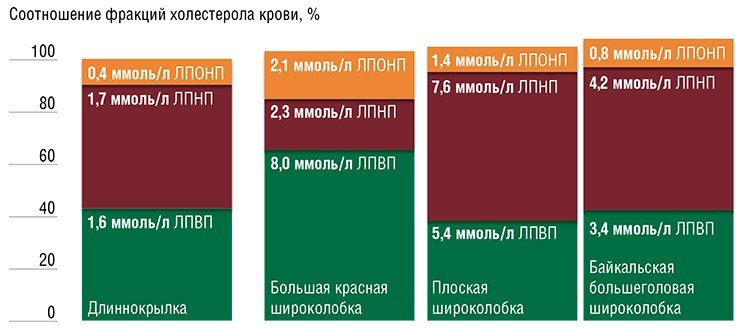 5.02.jpg