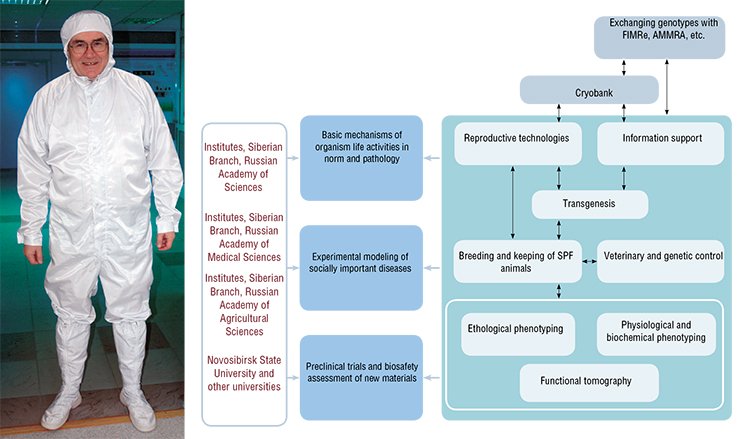 During the first year of operation of the SPF Vivarium, the operating, testing, and maintenance regulations for the life support systems and technological equipment were adopted and mastered. The technology for animal shipment with retention of an SPF status was tested. Optimal cooling regimes were selected for cryopreservation of embryos with different genotypes (the yield of viable embryos reaches 80—100 %) During the first year of operation of the SPF Vivarium, the operating, testing, and maintenance regulations for the life support systems and technological equipment were adopted and mastered. The technology for animal shipment with retention of an SPF status was tested. Optimal cooling regimes were selected for cryopreservation of embryos with different genotypes (the yield of viable embryos reaches 80—100 %)