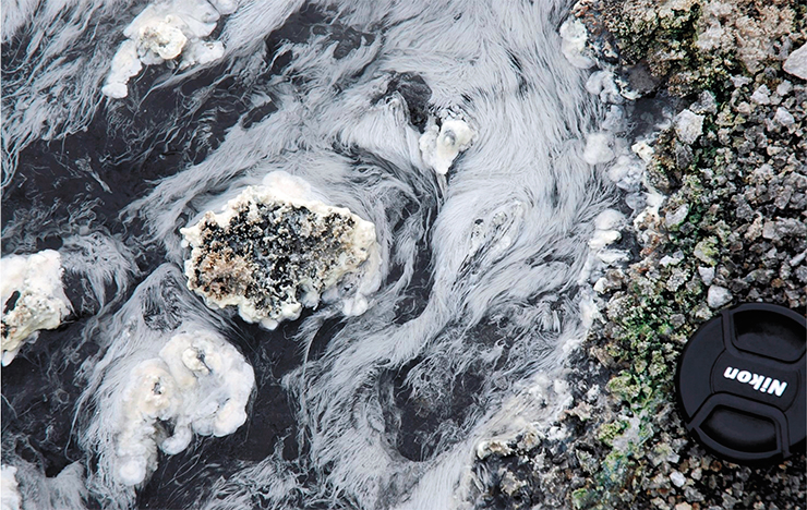 Unique 15-cm sulfur bacteria found in a hot spring within the Uzon Caldera on Kamchatka. Unique thermophilic archaea, likely the first microorganisms on the Earth, also inhabit this hot spring Unique 15-cm sulfur bacteria found in a hot spring within the Uzon Caldera on Kamchatka. Unique thermophilic archaea, likely the first microorganisms on the Earth, also inhabit this hot spring