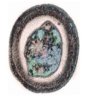 Покоящаяся спора термофильной бактерии Geobacillus stearothermophilus – источника гена нового фермента, термостабильной ДНК-полимеразы, созданного в ИХБФМ СО РАН (Новосибирск)