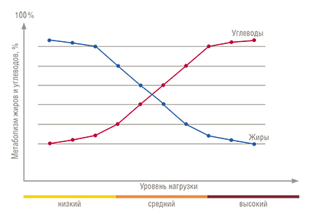 При быстром беге, как и при любой другой большой физической нагрузке, организм получает энергию только за счет углеводов, а жиры не расходуются