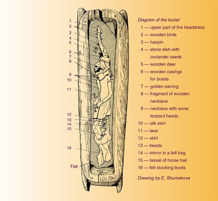 Ak-Alakha-3 burial site. Tumulus 1. The layout of the woman’s sepulcher inside the larch block Ak-Alakha-3 burial site. Tumulus 1. The layout of the woman’s sepulcher inside the larch block