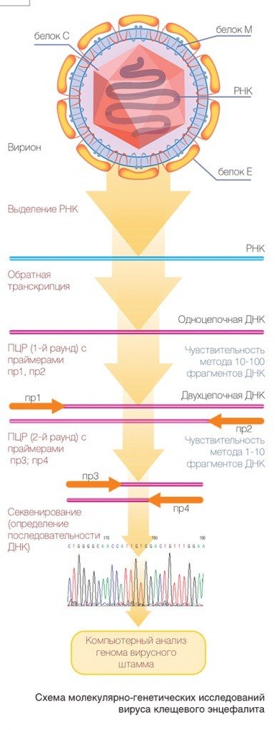 Fig 4.jpg
