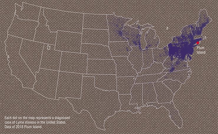 One of the arguments in favor of the conspiracy theory builds upon its consistency with the geography of the modern spread of Lyme disease in the United States, with a center at Plum Island (b). Today, this disease occurs predominantly in the northern part of the black-legged tick’s range and in the northeastern part of the lone star tick’s range (a), whose distribution areas overlap substantially. Adapted from: (a) (Madison-Antenucci, Kramer, Gebhardt et al., 2000); (b) data from the US Centers for Disease Control and Prevention (CDC). Photo by Kaldari, R. Webster, B. Scott 