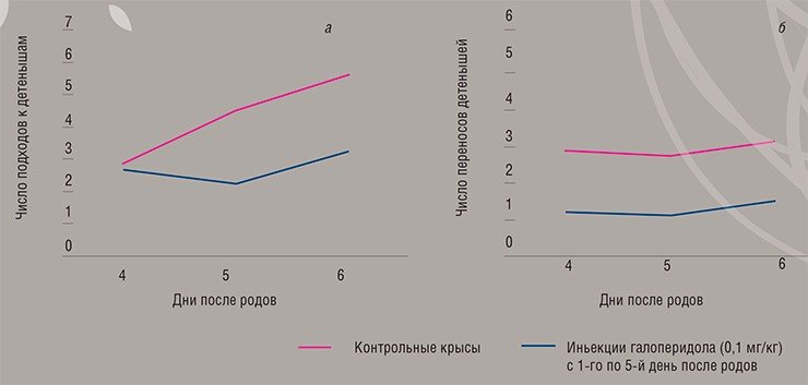 Фармакологическую модель материнской депрессии можно получить при введении родившим самкам лабораторных крыс галоперидола, антагониста рецепторов «гормона удовольствия» дофамина. Это подтверждают данные теста «открытого поля», в котором регистрировались стандартные элементы материнского поведения: подходы к детенышам (а) и число переносов их в безопасное место (б)