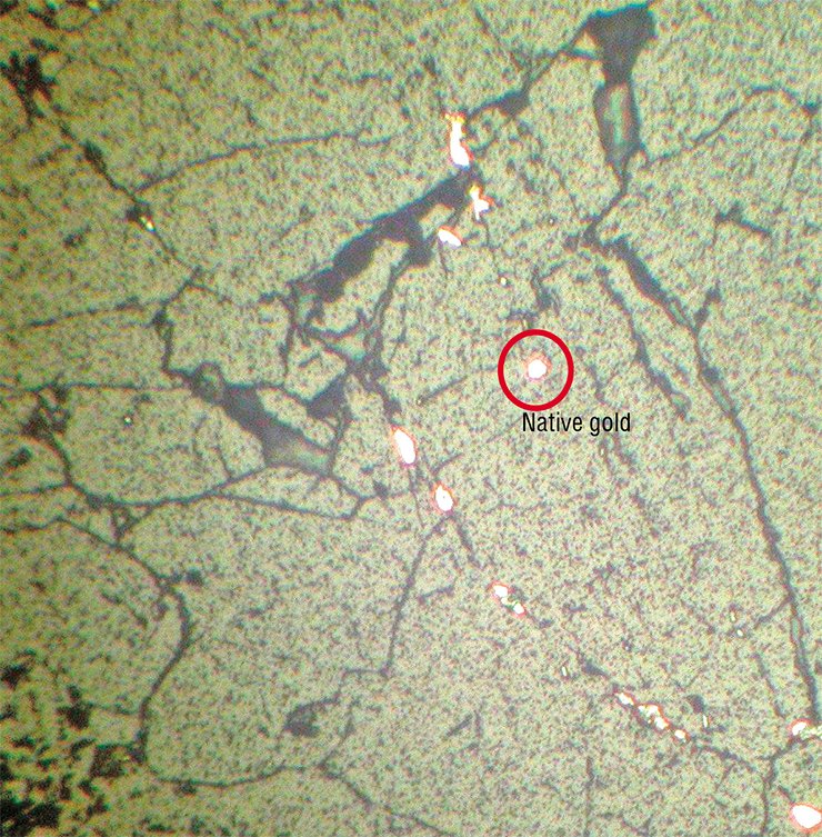 Native gold with uytenbogaardtite rims in quartz cracks. The hypergenic origin of this gold–silver sulfide is evident from the presence of goethite, iron hydroxide. Ulakhan deposit, Magadan oblast, Russia