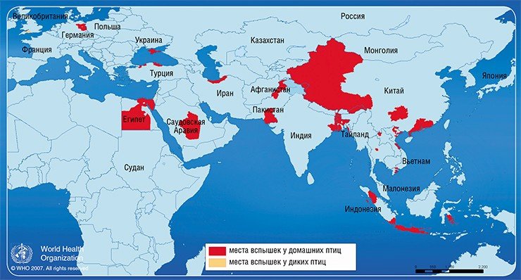 2008 год. Места вспышек гриппа подтипа H5N1 у птиц (вверху) и людей (внизу) (с 1 января по 18 марта 2008 г.). Данные ВОЗ 2008 год. Места вспышек гриппа подтипа H5N1 у птиц (вверху) и людей (внизу) (с 1 января по 18 марта 2008 г.). Данные ВОЗ
