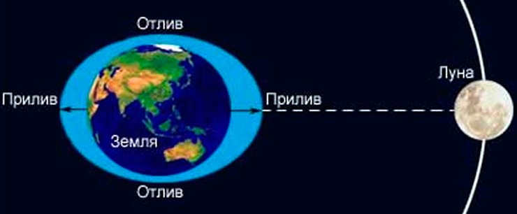 Деформация океана под гравитационным влиянием Луны Деформация океана под гравитационным влиянием Луны