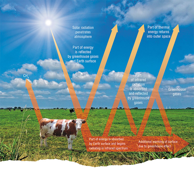 The uppermost surface of the Earth atmosphere receives about 1.5 kWt of solar energy; about a third is reflected back into the outer space. As the result, the planet heats up, and starts emitting energy, like any other heated body. This simplified scheme of reflection, absorption and dissemination shows the mechanism responsible for the greenhouse effect, resulting from the enrichment of the atmosphere with greenhouse gases, especially with water vapor, carbon dioxide and methane. Adapted from: (Panchenko, Belan, 2009) The uppermost surface of the Earth atmosphere receives about 1.5 kWt of solar energy; about a third is reflected back into the outer space. As the result, the planet heats up, and starts emitting energy, like any other heated body. This simplified scheme of reflection, absorption and dissemination shows the mechanism responsible for the greenhouse effect, resulting from the enrichment of the atmosphere with greenhouse gases, especially with water vapor, carbon dioxide and methane. Adapted from: (Panchenko, Belan, 2009)