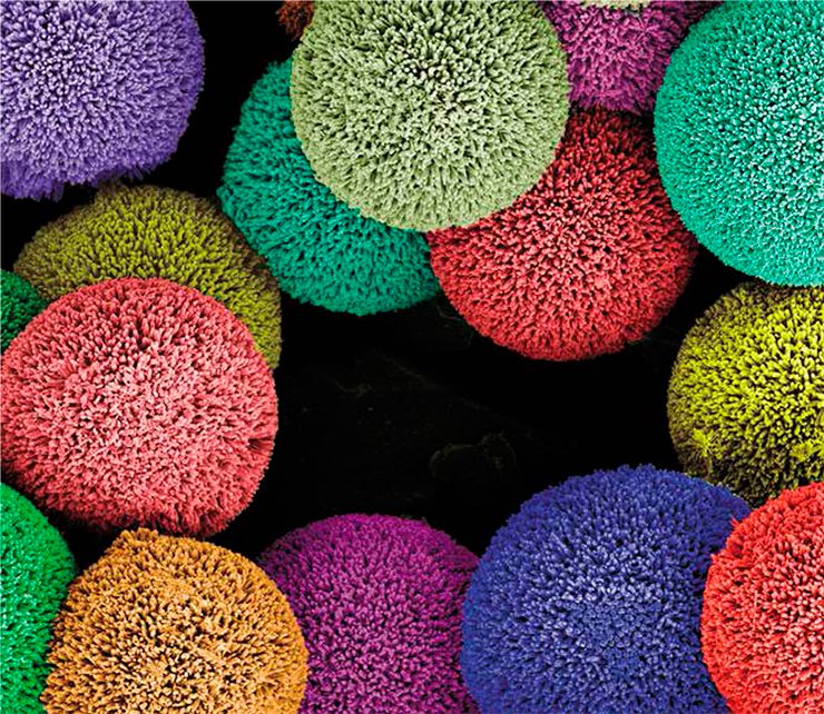 Scanning electron microscopy. Image courtesy of the Materials Research Society (www.mrs.org) Science as Art Competition (spring 2013) and Joong Hwan Bahng, University of Michigan, Ann Arbor, USA Scanning electron microscopy. Image courtesy of the Materials Research Society (www.mrs.org) Science as Art Competition (spring 2013) and Joong Hwan Bahng, University of Michigan, Ann Arbor, USA