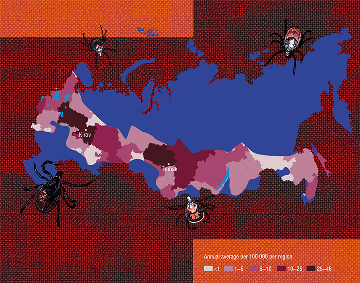 According to data from 1997-2010, tick-borne borreliosis is reported from 73 out of 85 regions of Russia. The highest risk of infection is reported from the basin of the Kama river, in the western Urals piedmont, and in the south of West Siberia (Medico-geographical atlas of Russia Natural focal infections, 2015, mod.) According to data from 1997-2010, tick-borne borreliosis is reported from 73 out of 85 regions of Russia. The highest risk of infection is reported from the basin of the Kama river, in the western Urals piedmont, and in the south of West Siberia (Medico-geographical atlas of Russia Natural focal infections, 2015, mod.)