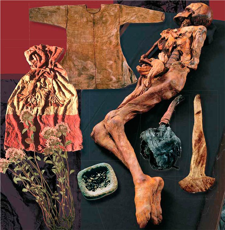 A woolen skirt, a silk shirt, a felt cap from the woman’s burial-place. A stone saucer filled with charred coriander seeds. A woman’s headgear – a wig. Mound 1, Ak-Allah-3 burial ground. Museum, IAET SB RAS A woolen skirt, a silk shirt, a felt cap from the woman’s burial-place. A stone saucer filled with charred coriander seeds. A woman’s headgear – a wig. Mound 1, Ak-Allah-3 burial ground. Museum, IAET SB RAS