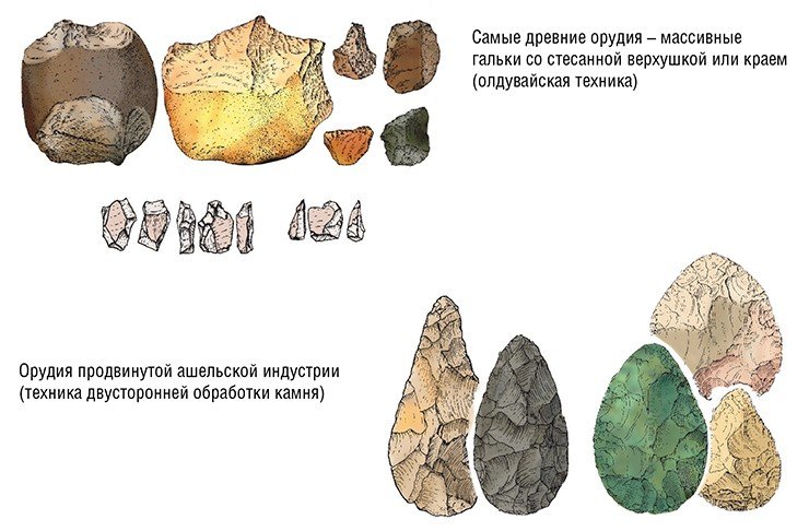 Костных остатков древнего человека на сегодняшний день найдено очень мало. Основной материал, имеющийся в распоряжении археологов, – это каменные орудия труда. По ним можно проследить, как совершенствовались приемы обработки камня, как происходило развитие интеллектуальных способностей человека