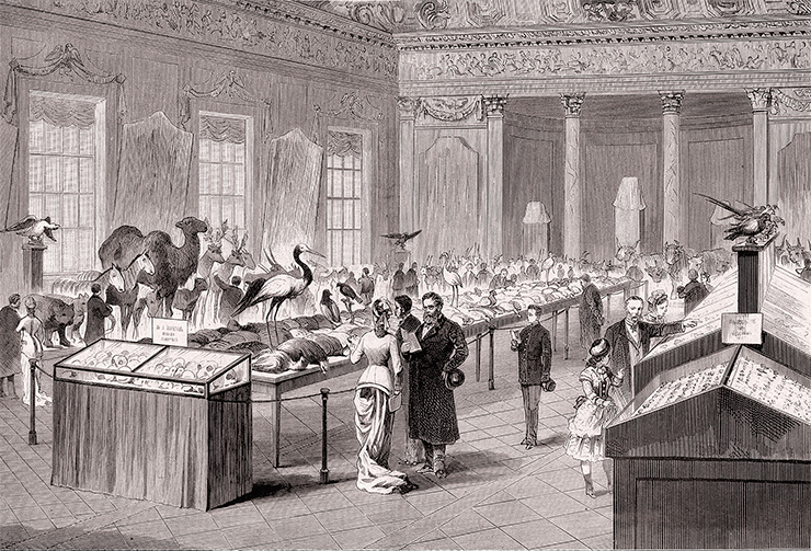 On February 2, 1887, an exhibition of Przhevalskii’s zoological collections opened at St. Petersburg Academy of Sciences. These magnificent collections, which, according to Academician Veselovsky, “were a museum in themselves,” became a source of national pride for Russia
