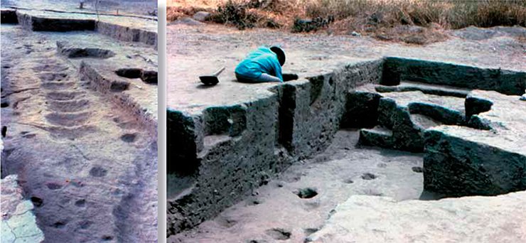 On the Real Alto archaeological site, not only the remains of huts (left), but also the remains of ritual facilities with mounds and steps (right) were excavated. Photo by the courtesy of J. Marcos On the Real Alto archaeological site, not only the remains of huts (left), but also the remains of ritual facilities with mounds and steps (right) were excavated. Photo by the courtesy of J. Marcos