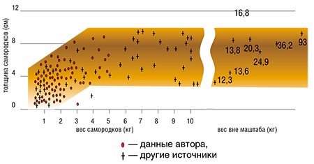 При сопоставлении линейных размеров самородков с их весом обнаружено, что их длина и ширина в среднем пропорциональны их весу. Однако это правило не выполняется для толщины самородков (Самусиков, 2005). Очевидно, существует некое препятствие, которое ограничивает толщину крупных самородков, но не препятствует их росту в длину и ширину. Логично предположить, что таким препятствием является мощность жил, в которых они образовались, а длина и ширина самородков соответствуют направлениям их роста в плоскости жилы. Небольшие (до 4 кг) самородки, по-видимому, не лимитируются размерами жил, поэтому их толщина меняется пропорционально их весу