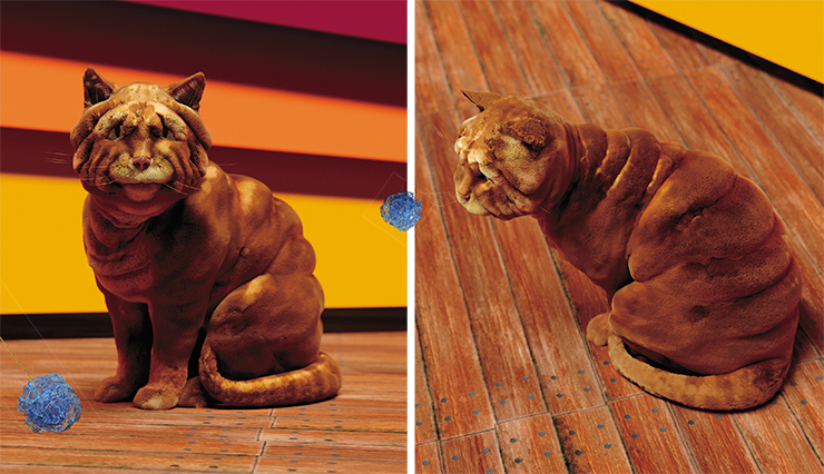 What about the Shar-Pei cat? We know that Shar-Pei dogs have a mutation that causes excess production of a polysaccharide called hyaluronan. This mutation consists in a duplication (or series of duplications) upstream of the HAS2 gene, which encodes an enzyme called hyaluronan-synthetase (Olsson et al., 2011). We find the HAS2 gene in the cat genome, prepare the necessary gene engineering structure and inject it into fertilized eggs, which we implant in a surrogate mother. The designer must keep in mind that shar-pei-ness will be a bad match with long hair, but Rex and Sphynx cats will look really nice with wrinkles. Photo and editing: G. Borodin What about the Shar-Pei cat? We know that Shar-Pei dogs have a mutation that causes excess production of a polysaccharide called hyaluronan. This mutation consists in a duplication (or series of duplications) upstream of the HAS2 gene, which encodes an enzyme called hyaluronan-synthetase (Olsson et al., 2011). We find the HAS2 gene in the cat genome, prepare the necessary gene engineering structure and inject it into fertilized eggs, which we implant in a surrogate mother. The designer must keep in mind that shar-pei-ness will be a bad match with long hair, but Rex and Sphynx cats will look really nice with wrinkles. Photo and editing: G. Borodin