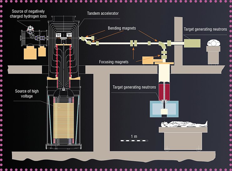 The “heart” of the BNCT facility developed at BINP SB RAS is a new type of the accelerator. It generates a strong current of 2-MeV protons, which knock out neutrons from a special target also developed at this institute. It is planned to use this neutron flux for irradiating a malignant tumor with preliminary injection of the 10B boron isotope The “heart” of the BNCT facility developed at BINP SB RAS is a new type of the accelerator. It generates a strong current of 2-MeV protons, which knock out neutrons from a special target also developed at this institute. It is planned to use this neutron flux for irradiating a malignant tumor with preliminary injection of the 10B boron isotope