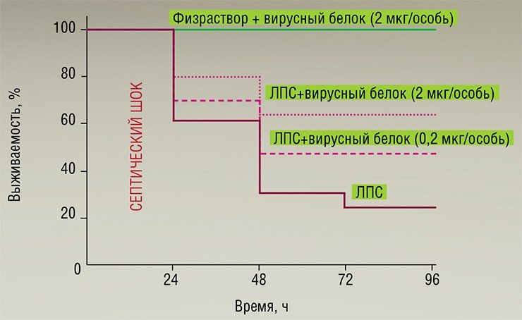 Эффективность действия TNF- связывающего белка вируса натуральной оспы при терапии септического шока проверена на лабораторных мышах, которым был введен бактериальный липополисахарид (ЛПС) – компонент бактериальных стенок, вызывает сильный иммунный ответ с выделением провоспалительных цитокинов, что приводит к развитию опасного септического шока. Введение вирусного белка значительно повысило выживаемость заболевших особей