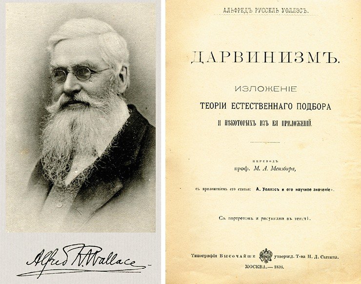 Альфред Рассел Уоллес. Фото О. Ренара. По: (Уоллес, 1898). В 1898 г., через 30 лет после выхода ставшей знаменитой книги Дарвина, А. Уоллес опубликовал огромный (750 с.) труд «Дарвинизм. Изложение теории естественного отбора и некоторые из ее приложений»