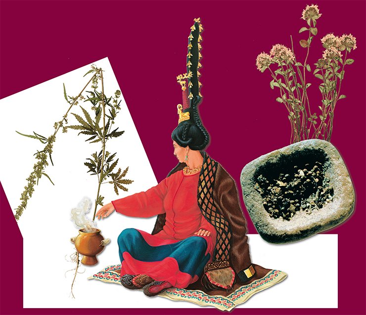 Конопля (слева). Canabis sativa L. Костюм женщины (в центре). Второй Пазырыкский курган. Реконструкция Д. Позднякова по материалам, хранящимся в Эрмитаже, — из книги Н. Полосьмак, Л. Барковой «Костюм и текстиль пазырыкцев Алтая (IV—III вв. до н. э.)». Зизифора пахучковидная (справа вверху). Ziziphora L. clinopodioides Lam. Каменное блюдце, наполненное обугленными семенами кориандра (справа внизу). Курган 1, могильник Ак Алаха 3. Музей ИАЭТ СО РАН