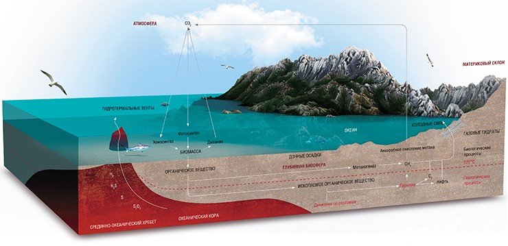 Глубинная биосфера, верхняя граница которой располагается на глубине одного метра от поверхности морского дна, по своей протяженности и объему соперничает только с водной толщей Мирового океана, хотя с ростом глубины условия для жизни ужесточаются. Источником энергии и вещества для микроскопических обитателей подземной бездны служит готовая органика, а также горячие потоки газонасыщенных флюидов из глубоких горизонтов литосферы. По: (Bell, Heuer, 2012) Глубинная биосфера, верхняя граница которой располагается на глубине одного метра от поверхности морского дна, по своей протяженности и объему соперничает только с водной толщей Мирового океана, хотя с ростом глубины условия для жизни ужесточаются. Источником энергии и вещества для микроскопических обитателей подземной бездны служит готовая органика, а также горячие потоки газонасыщенных флюидов из глубоких горизонтов литосферы. По: (Bell, Heuer, 2012)