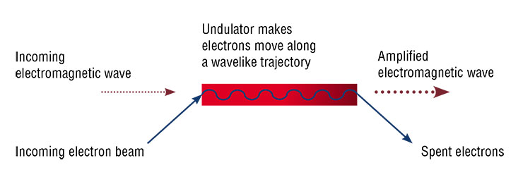 Schematic diagram of a free electron laser (FEL)