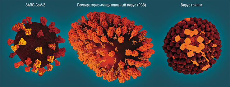 Тройная эпидемия (Tripledemics) в эпидемиологический сезон 2023–2024 гг. была вызвана тремя респираторными патогенами: вирусами гриппа, SARS-CoV-2 и респираторно-синцитиальным вирусом, вызывающим РСВ-инфекцию. 3D-моделирование. © CC BY 2.0/ NIAID Тройная эпидемия (Tripledemics) в эпидемиологический сезон 2023–2024 гг. была вызвана тремя респираторными патогенами: вирусами гриппа, SARS-CoV-2 и респираторно-синцитиальным вирусом, вызывающим РСВ-инфекцию. 3D-моделирование. © CC BY 2.0/ NIAID