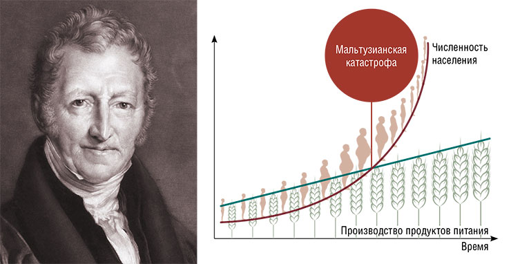 Томас Роберт Мальтус, священник, демограф и экономист. 1833 г. Худ. Д. Линнелл. Public Domain. Согласно первоначальной формулировке закона Мальтуса, население растет экспоненциально, а производство продуктов питания – линейно, и в какой-то момент продовольствия оказывается недостаточно, что вызывает голод, эпидемии и войны. В дальнейшем Мальтус предположил, что рост населения постоянно приближается к критическому уровню, но удерживается на нем в результате общественных бедствий