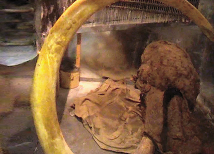Head of the Yukagir mammoth which underwent microbiological analysis Head of the Yukagir mammoth which underwent microbiological analysis