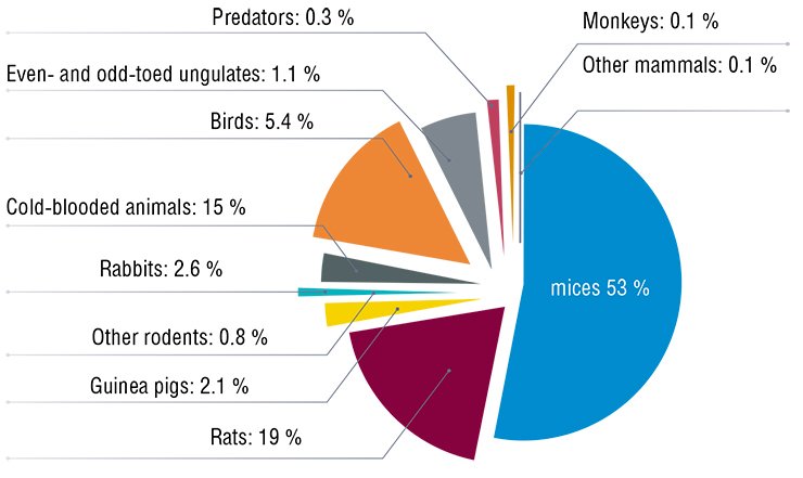 Laboratory mice are the leaders among all model biological objects. They have the best price-quality ratio: 95 % of the mouse genome coincides with the human genome, whereas keeping and breeding mice costs much less than keeping pigs or monkeys, which are genetically closer to humans. EU data, 2005 Laboratory mice are the leaders among all model biological objects. They have the best price-quality ratio: 95 % of the mouse genome coincides with the human genome, whereas keeping and breeding mice costs much less than keeping pigs or monkeys, which are genetically closer to humans. EU data, 2005