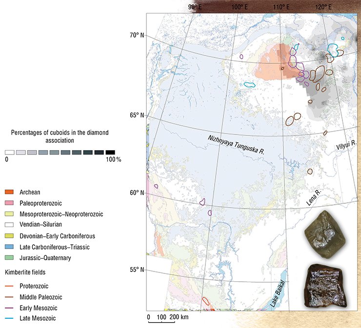 Cuboid diamonds occur mainly on the northeastern Siberian Craton. Their distribution shows no distinct regularities. Only two contrasting anomalies are recognized. Rare cuboids occur in other areas of the craton, but they never determine the habits of diamond associations there