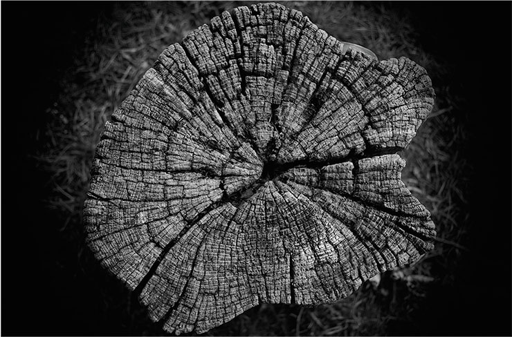 © CC BY-NC 2.0 / Gray Scales 
