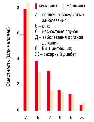 По данным ВОЗ на начало XXI в. сердечно-сосудистые заболевания составляли одну из основных причин смертности в мире (в России – более 55 %). При этом около 85–90 % смертных случаев приходилось на долю инсульта и ишемической болезни сердца