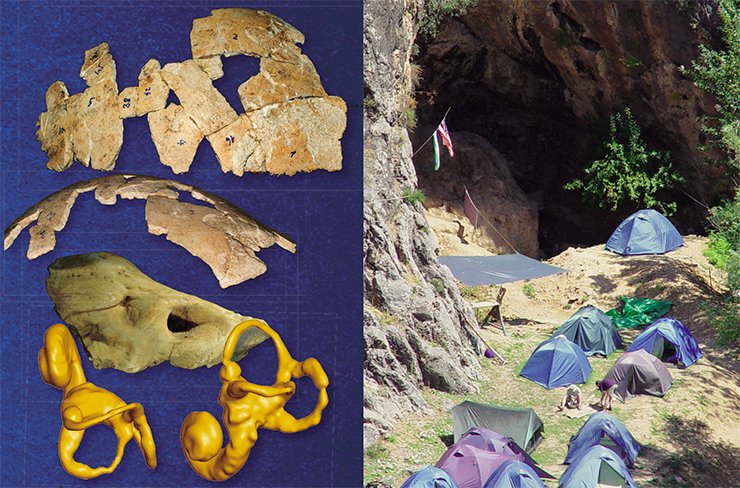 The results of the study of the cranium and teeth from the Obi-Rakhmat Grotto have proved to be sensational: the Obi-Rakhmat hominin has revealed mixed Neanderthal and modern human features, and many of its morphological characteristics have no paleoanthropological analogs. Top: the reconstructed part of the cranium. A temporal bone fragment. Bottom: Tomography reconstruction of the periodic bone labyrinthine The results of the study of the cranium and teeth from the Obi-Rakhmat Grotto have proved to be sensational: the Obi-Rakhmat hominin has revealed mixed Neanderthal and modern human features, and many of its morphological characteristics have no paleoanthropological analogs. Top: the reconstructed part of the cranium. A temporal bone fragment. Bottom: Tomography reconstruction of the periodic bone labyrinthine