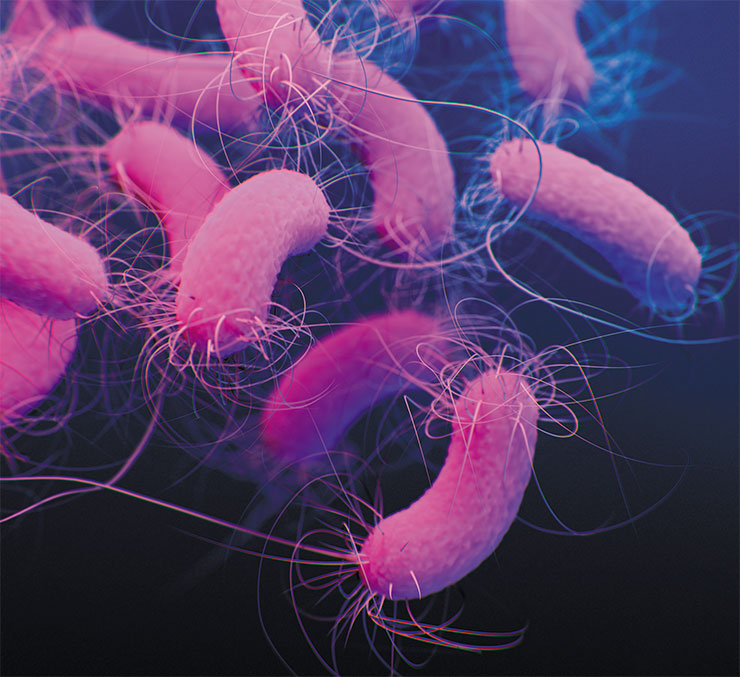 Cells of multiple drug-resistant Pseudomonas aeruginosa. Illustrator Jennifer Oosthuizen/CDC/Public Domain Cells of multiple drug-resistant Pseudomonas aeruginosa. Illustrator Jennifer Oosthuizen/CDC/Public Domain