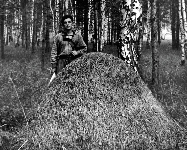 И. В. Стебаев, 1955 г.