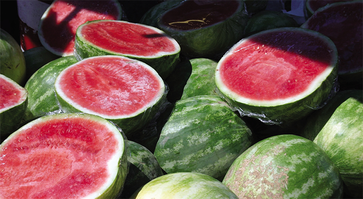 This seedless watermelon, a sweet tooth’s dream, is not a GM plant. It has three sets of chromosomes, an odd number, and thus cannot produce seeds. This hybrid has been obtained by breeding diploid (2 sets) and tetraploid (4 sets) parental lineages. © FreeImages.com/J David Eisenberg This seedless watermelon, a sweet tooth’s dream, is not a GM plant. It has three sets of chromosomes, an odd number, and thus cannot produce seeds. This hybrid has been obtained by breeding diploid (2 sets) and tetraploid (4 sets) parental lineages. © FreeImages.com/J David Eisenberg