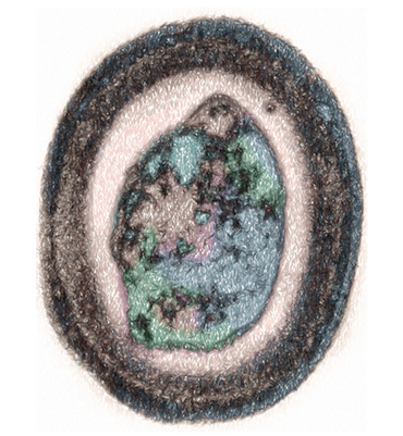 A quiescent spore of the thermopile bacterium Geobacillus stearothermophilus is a source of a gene of the new enzyme, thermostable DNA polymerase, created at the Institute of Chemical Biology and Fundamental Medicine, SB RAS (Novosibirsk) 