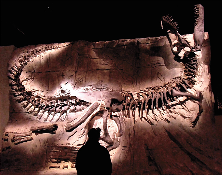 In the Rocky Mountains of Alberta, fossilized remains were found of a Tyrannosaurus Rex. The find was called the Black Beauty. The original remains are stored at the Royal Tyrrell Museum of Paleontology (Drumheller, Canada), and their replicas are on display all around the world. © Mike Beauregard