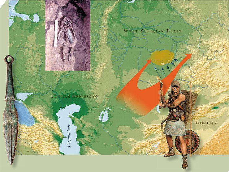 The likely direction of the migration of the Andronovo (Fedorovo) culture bearers into the Baraba forest-steppe (first half of the 2nd millenium BC; from anthropological and genetic data). On the territory of Baraba, the migrants coexisted with the indigenous late Krotov population and interacted with them at the level of material culture (Molodin et al., 2009), mitochondrial DNA (Pylypenko et al., 2009), and genetic contacts